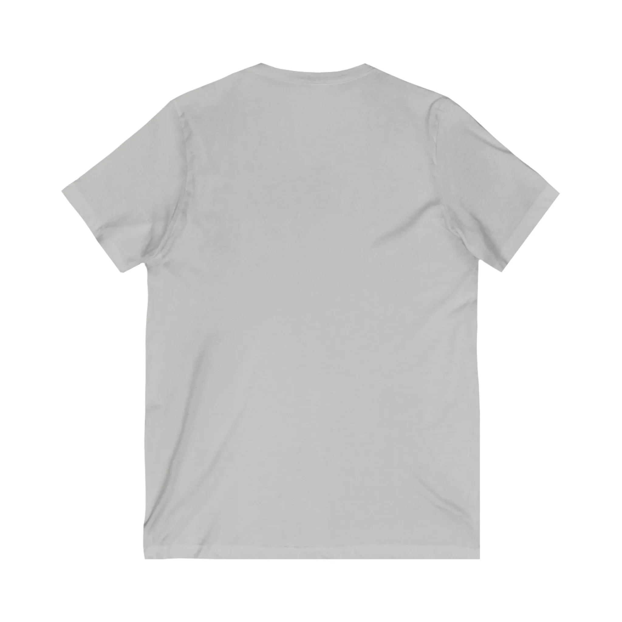 Leo Unisex V neck Shirt, Leo Season, Leo Sign