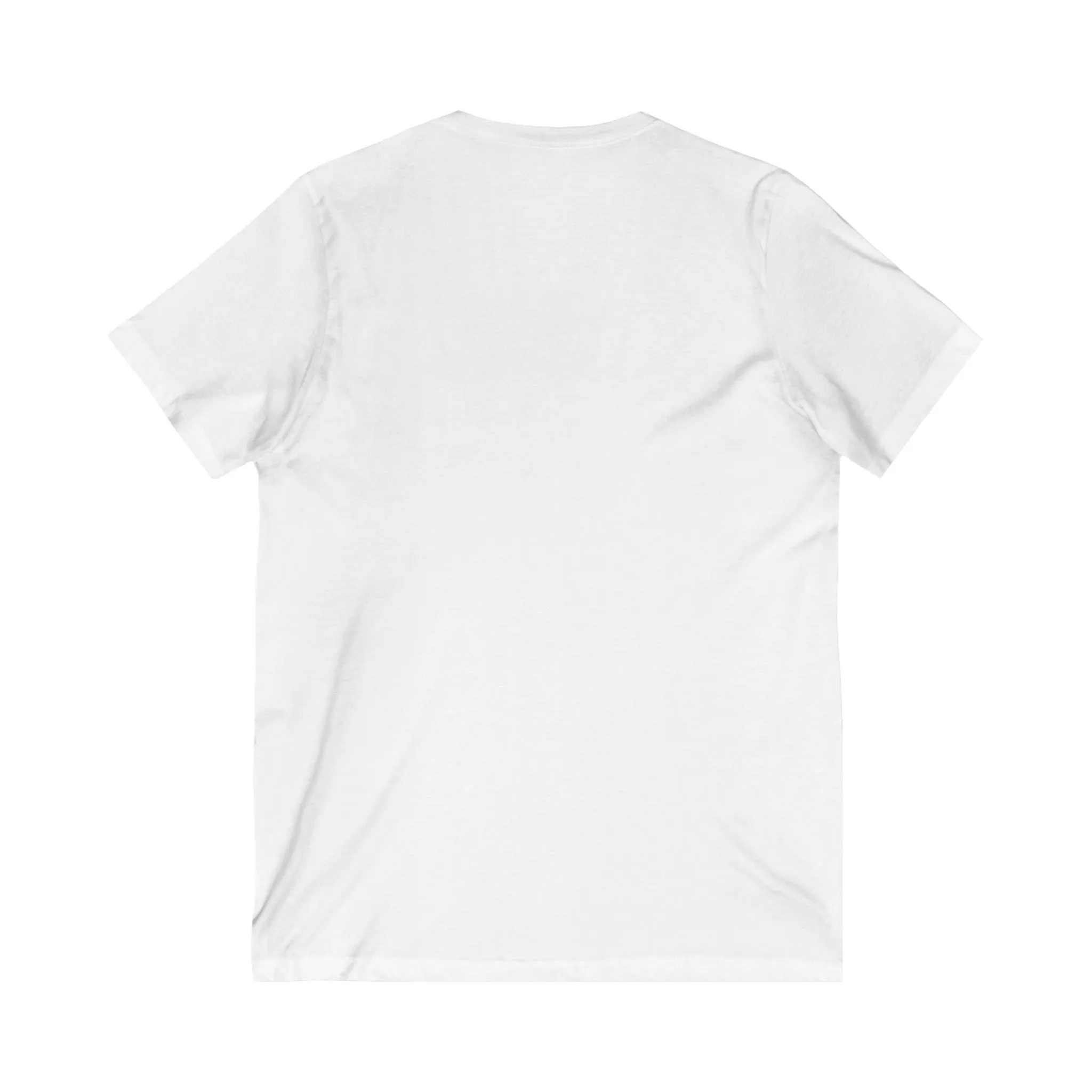 Leo Unisex V neck Shirt, Leo Season, Leo Sign