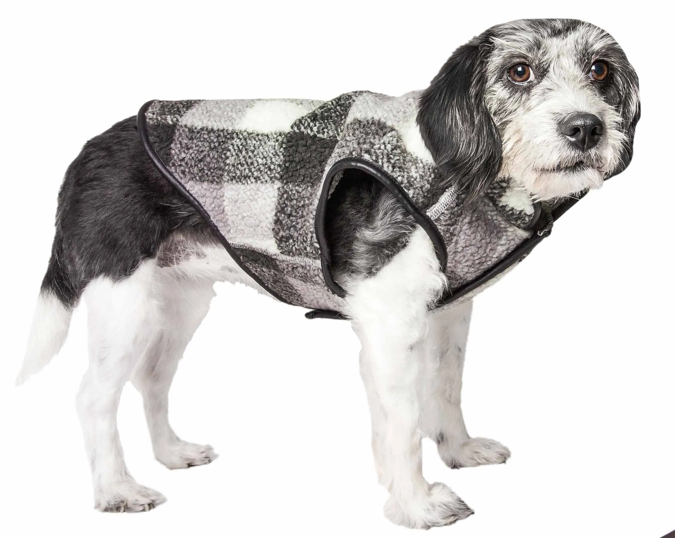 Pet Life ® 'Black Boxer' Classical Plaided Insulated Dog Coat Jacket
